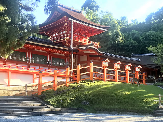 奈良県のパワースポット 開運スタークローラー